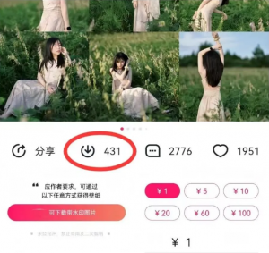 最新图虫搬运项目，收益无上限，利用AI小白也可日赚500+-数屿科技资源网