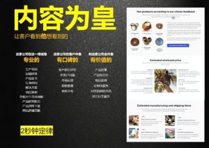 刘老师·外贸询盘增长秘籍从0到1的实战指南-数屿科技资源网
