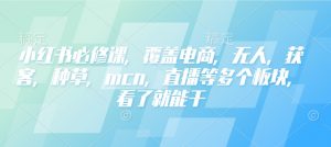 小红书必修课，覆盖电商，无人，获客，种草，mcn，直播等多个板块，看了就能干-数屿科技资源网