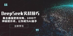 DeepSeek实战技巧：集合最强使用攻略，1000个神级提示词，让你成为AI高手-数屿科技资源网