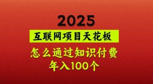 2025项目天花板，普通怎么通过知识付费翻身，年入百个【揭秘】-数屿科技资源网