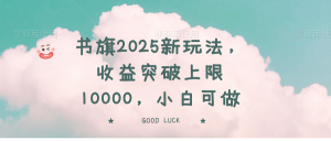 书旗2025新玩法，收益突破上限10000，小白可做-数屿科技资源网