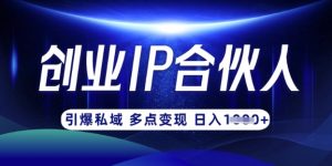 云帆·创业ip合伙人打造3.0，从0到1教你做网创，实现月入过W-数屿科技资源网
