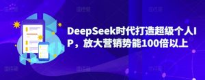 DeepSeek时代打造超级个人IP，放大营销势能100倍以上-数屿科技资源网