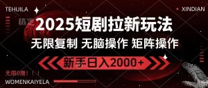 2025短剧拉新玩法，无需注册登录，无限0撸，无脑批量操作日入2000+-数屿科技资源网