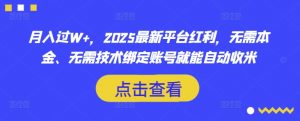 月入过W+，2025最新平台红利，无需本金、无需技术绑定账号就能自动收米-数屿科技资源网