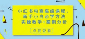 小红书电商高级课程,新手小白必学方法,实操教学+案例分析-数屿科技资源网