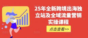 25年全新跨境出海独立站及全域流量营销实操课程,跨境电商独立站TIKTOK全域营销普货特货玩法大全-数屿科技资源网