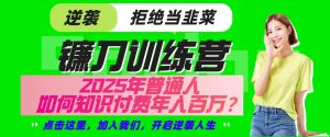 镰刀训练营超级IP合伙人，25年普通人如何通过“知识付费”实现逆袭-数屿科技资源网