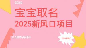 2025新风口项目宝宝取名，0成本高利润，附保姆级教程，月入过万不是梦-数屿科技资源网