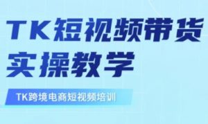 东南亚TikTok短视频带货，TK短视频带货实操教学-数屿科技资源网