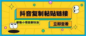 零撸小项目，新玩法，抖音复制链接0.07一条，20秒一条，无限制。-数屿科技资源网