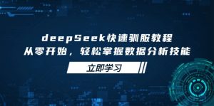 deepSeek快速驯服教程，从零开始，轻松掌握数据分析技能-数屿科技资源网