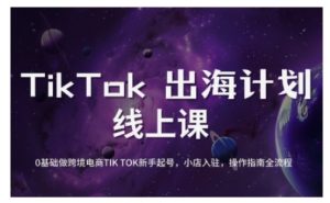 TikTok跨境电商新手起号与运营全攻略，0基础做跨境电商TIKTOK新手起号，小店入驻，操作指南全流程-数屿科技资源网