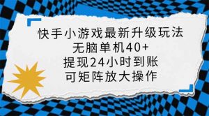 快手小游戏最新版升级玩法,新风口,无脑单机日入40+,可批量放大,小...-数屿科技资源网