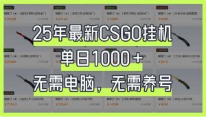 25年最新CSGO挂机系统，单日1000+，无需电脑，无需养号，0基础可上手-数屿科技资源网
