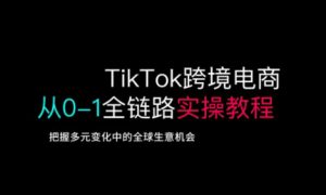TikTok跨境电商从0-1全链路全方位实操教程,把握多元变化中的全球生意机会-数屿科技资源网