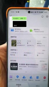 抖音暴力涨粉技术:一天轻松1-10万粉,技术不确定真实性,自测-数屿科技资源网