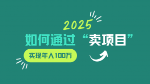 2025年如何通过“卖项目”实现年入100w-数屿科技资源网
