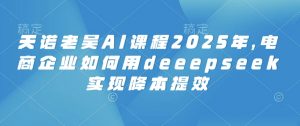 天诺老吴AI课程2025年,电商企业如何用deeepseek实现降本提效-数屿科技资源网