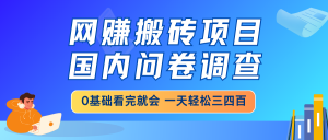 网赚搬砖项目，国内问卷调查，0基础看完就会 一天轻松三四百，靠谱副业...-数屿科技资源网