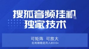 【搜狐音频挂G】独家技术,可矩阵可放大,红利期稳定月入8k【揭秘】-数屿科技资源网