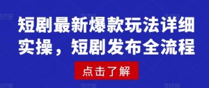 短剧最新爆款玩法详细实操，短剧发布全流程-数屿科技资源网
