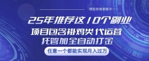 25年推荐这10个副业项目包含褂鸡类、代运营托管类、全自动打金类【揭秘】-数屿科技资源网