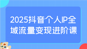 2025抖音个人IP全域流量变现进阶课:选爆品、抖音付费投流、千川投流实操及优化等-数屿科技资源网