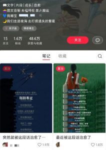 小红书治愈文案图文笔记，零门槛，一分钟制作轻松制作爆款作品月入万元-数屿科技资源网