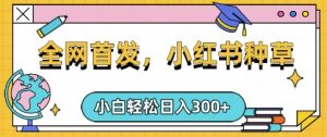 小红书种草，手机项目，日入3张，复制黏贴即可，可矩阵操作，动手不动脑【揭秘】-数屿科技资源网
