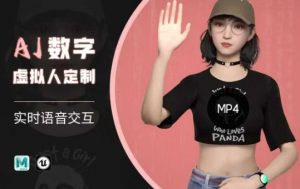 Ai数字人虚拟(智能体)实时语音交互特训营，​自行定制超写实角色AI数字人交互技术-数屿科技资源网