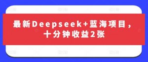 最新Deepseek+蓝海项目,十分钟收益2张-数屿科技资源网