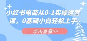 小红书电商从0-1实操运营课,0基础小白轻松上手-数屿科技资源网
