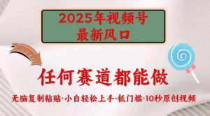 2025年视频号新风口，低门槛只需要无脑执行-数屿科技资源网