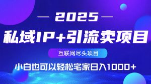 私域IP+引流卖项目,小白也可以做到轻松宅家日入1000+-数屿科技资源网