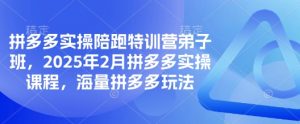 拼多多实操陪跑特训营弟子班,2025年2月拼多多实操课程,海量拼多多玩法-数屿科技资源网
