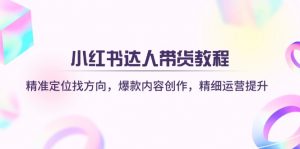 小红书达人带货教程:精准定位找方向,爆款内容创作,精细运营提升-数屿科技资源网