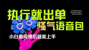 爆火全网的开车导航骚气语音包,只要执行就出单,小白看完课程就能实操...-数屿科技资源网