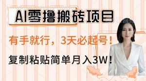AI零撸搬砖项目玩法，有手就行，3天必起号，复制粘贴简单月入3W！-数屿科技资源网