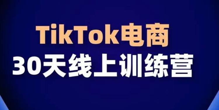 TikTok电商带货30天线上课,不可错过的全球流量洼地!-数屿科技资源网