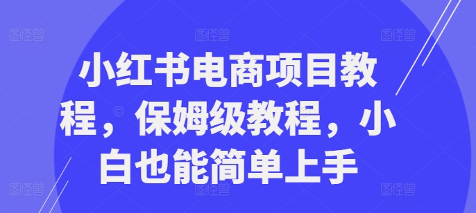 小红书电商项目教程，保姆级教程，小白也能简单上手-数屿科技资源网