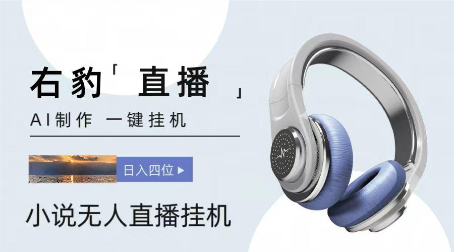 右豹小说无人直播挂机吸金项目，简单易行收益稳定， 月入1000+-数屿科技资源网