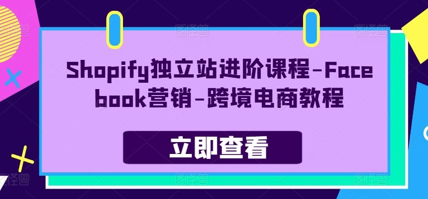 Shopify独立站进阶课程-Facebook营销-跨境电商教程-数屿科技资源网