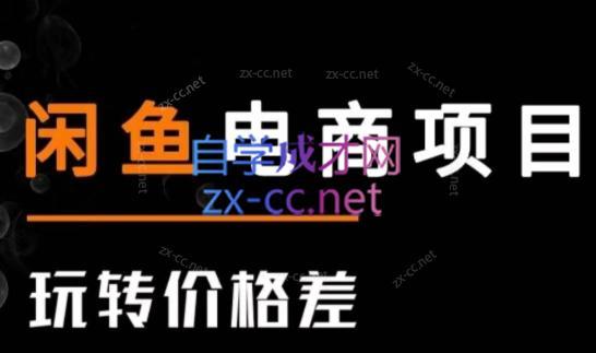 亿创繁星·闲鱼电商项目(玩转价格差)-数屿科技资源网