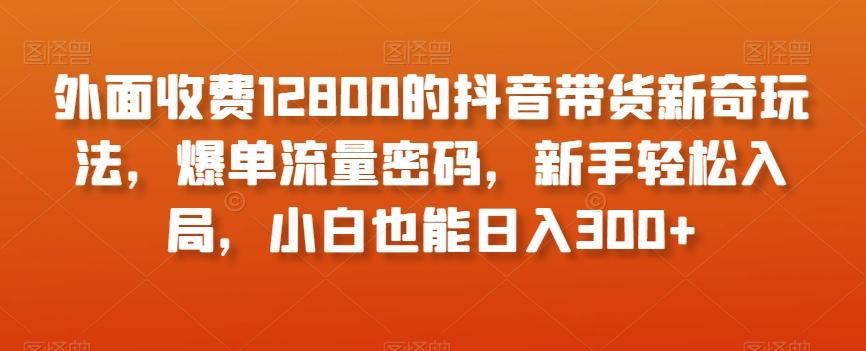 外面收费12800的抖音带货新奇玩法，爆单流量密码，新手轻松入局，小白也能日入300+【揭秘】-数屿科技资源网
