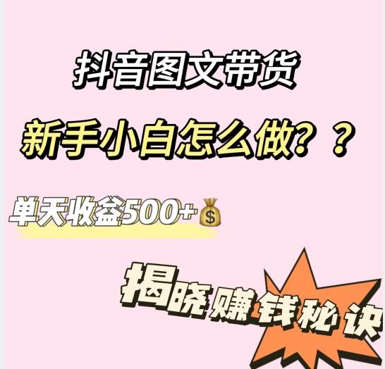 抖音图文带货，新手小白怎么做？单天收益500+【揭秘赚钱秘诀】-数屿科技资源网
