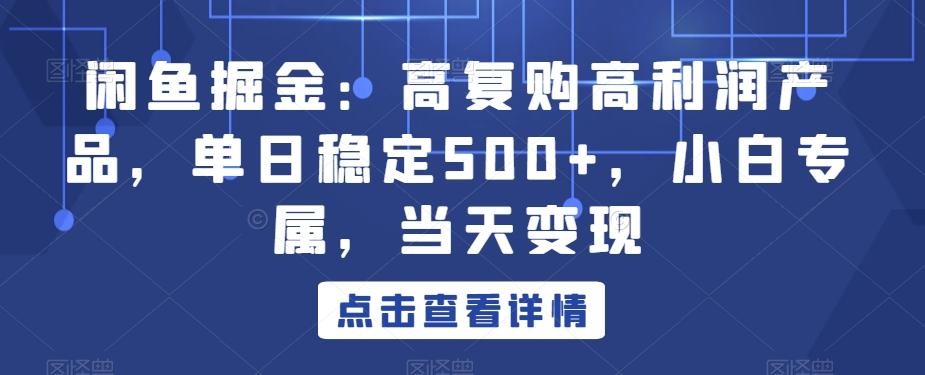 闲鱼掘金：高复购高利润产品，单日稳定500+，小白专属，当天变现-数屿科技资源网