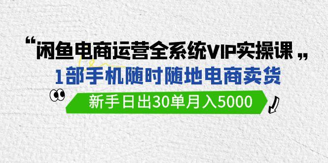 (9547期)闲鱼电商运营全系统VIP实战课,1部手机随时随地卖货,新手日出30单月入5000-数屿科技资源网