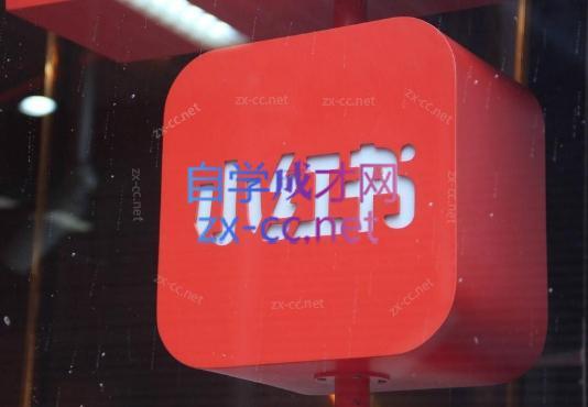 伊伊·红薯【高级班】运营课-数屿科技资源网